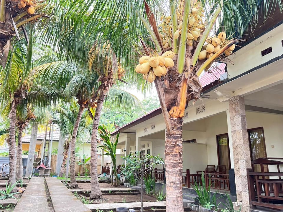 Bias Bungalows Bed and Breakfast in Pemenang
