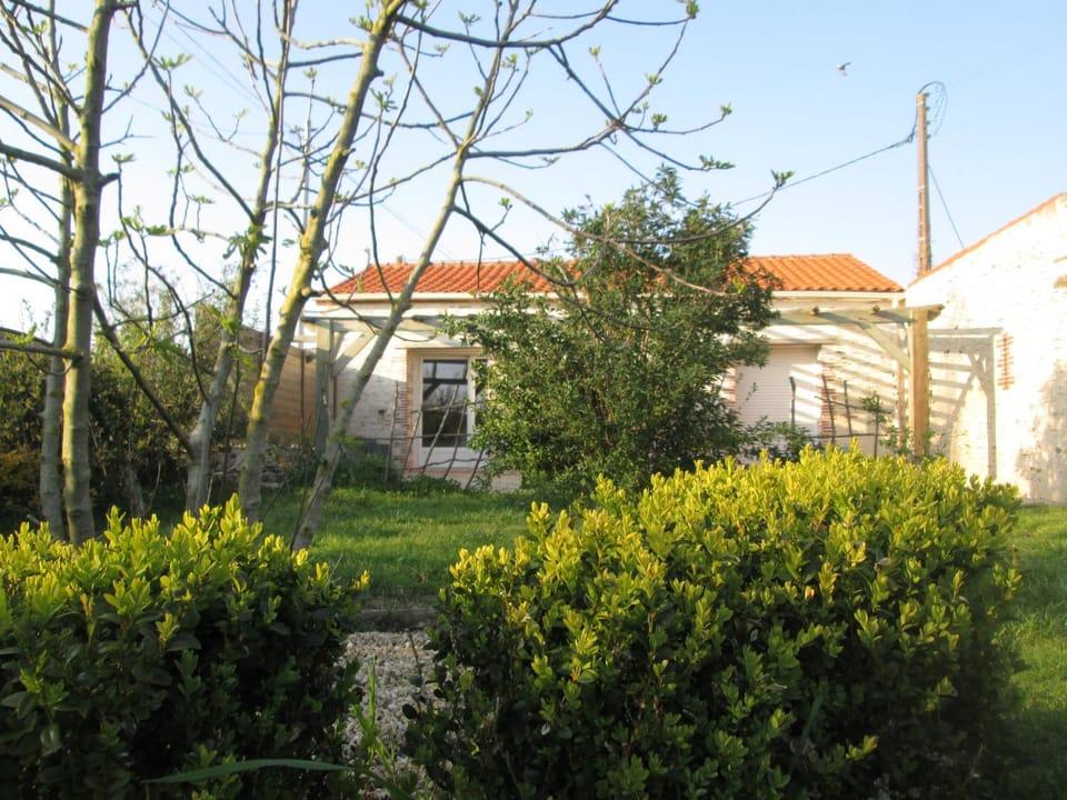 Patio, Garden, Garden, Garden view