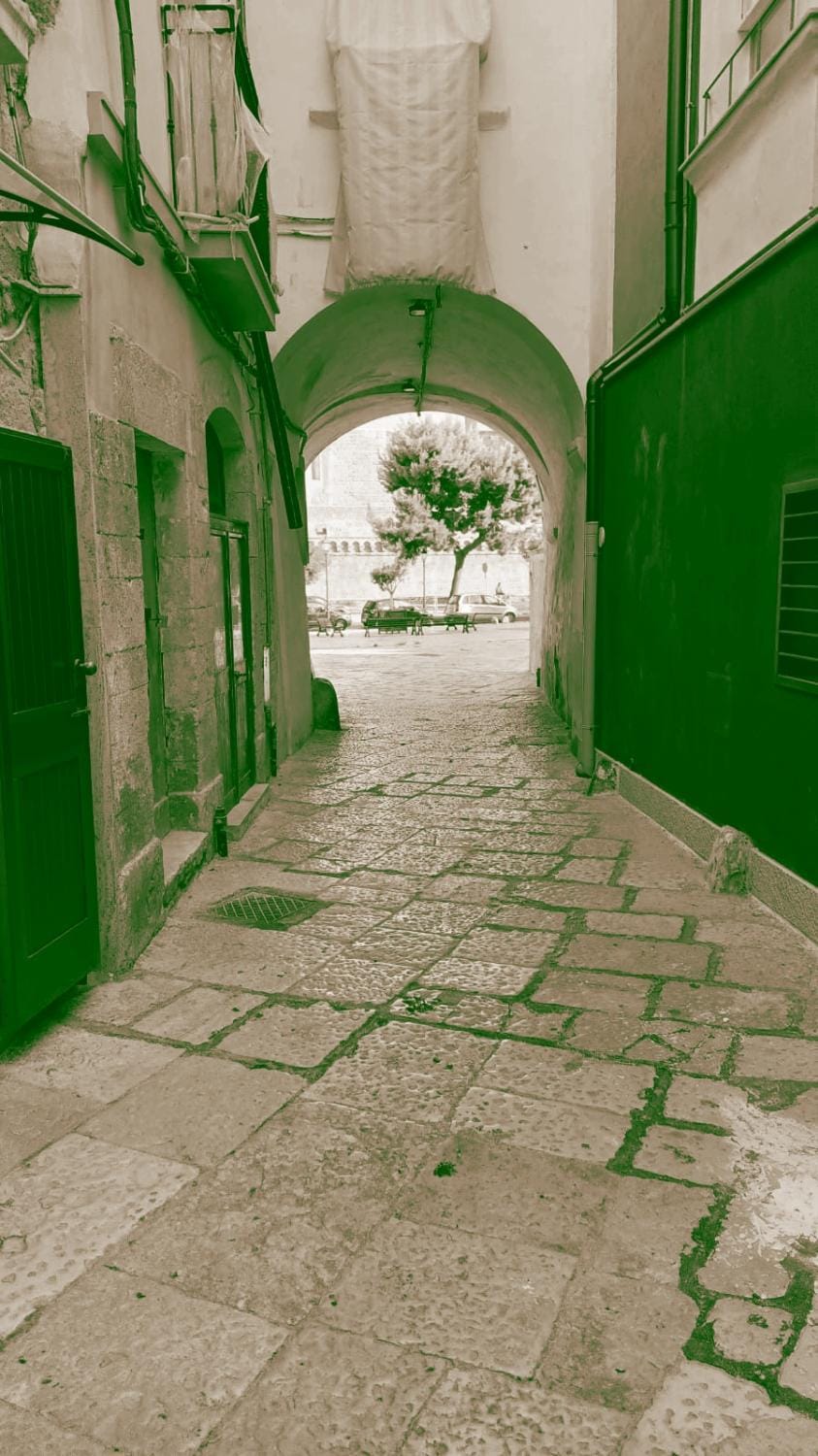 Day, Neighbourhood, Street view