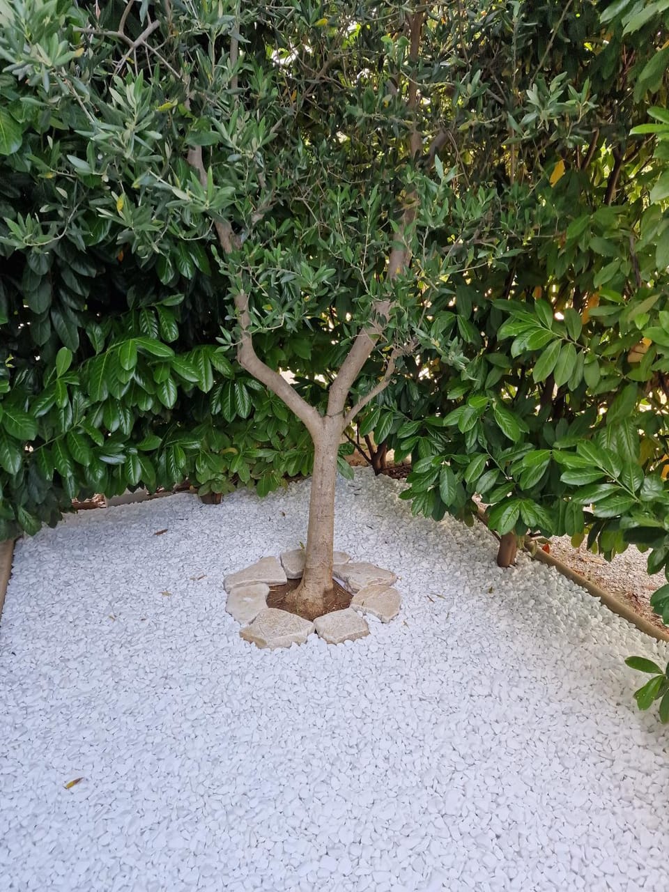Garden, Garden view