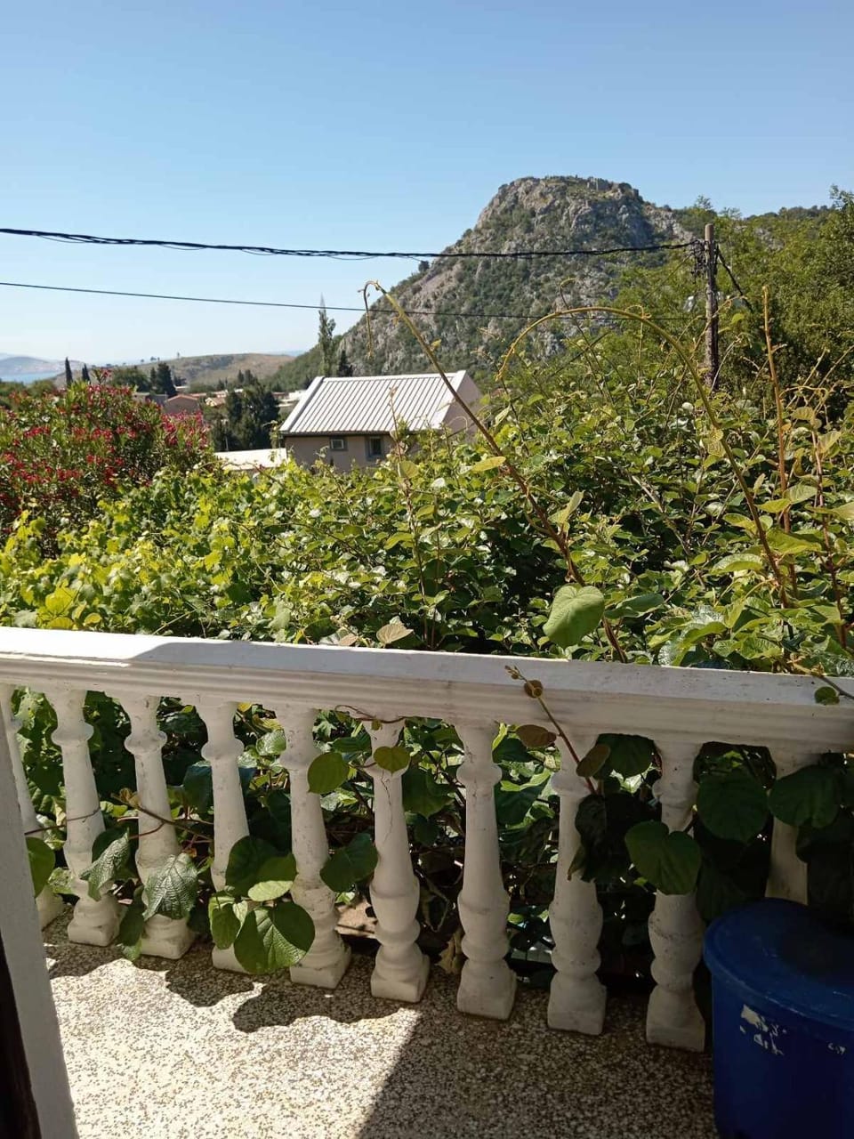 Garden, Garden view, Mountain view