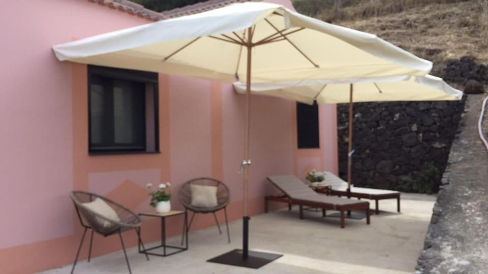 Patio, sunbed