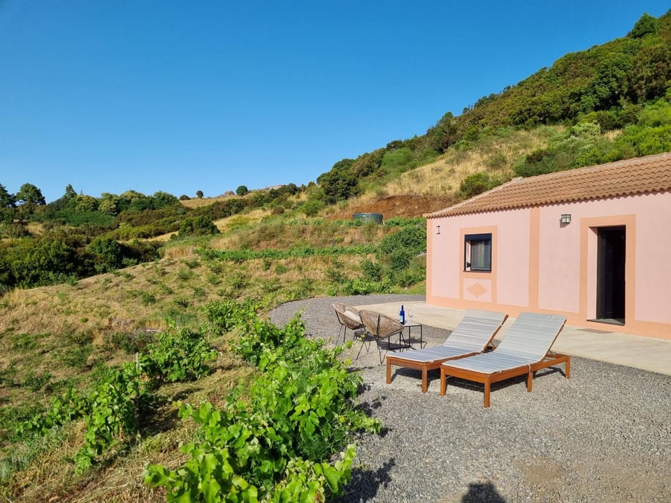 Garden, Mountain view, sunbed