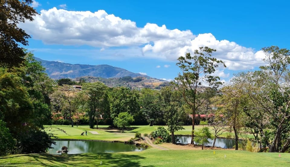 Lake view