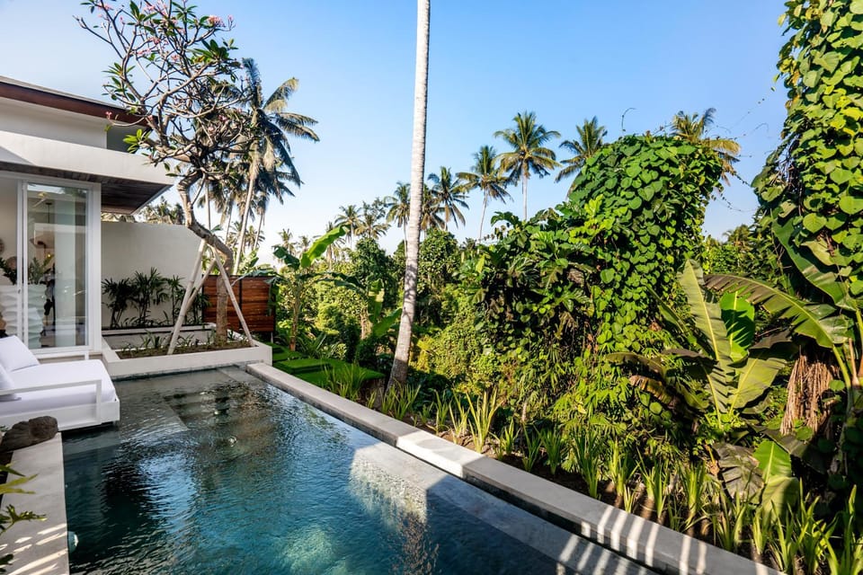 Garden, Garden view, Pool view