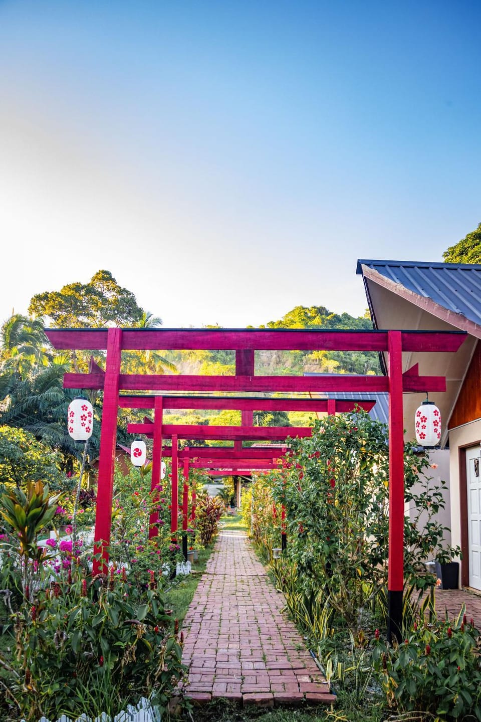 Property building, Garden view