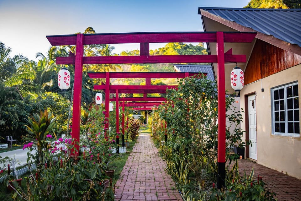 Property building, Garden view, Garden view