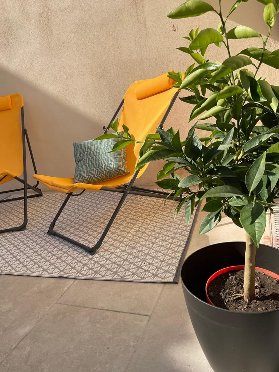 Patio, Balcony/Terrace, Balcony/Terrace