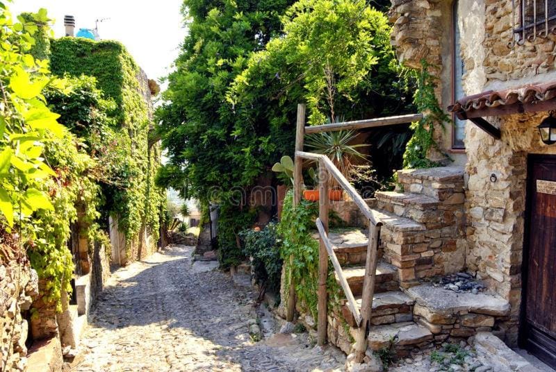 Albero Maestro on Bussana seaside Apartment in Liguria