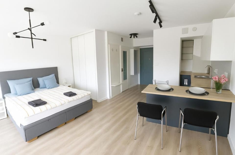 Bed, Kitchen or kitchenette, Living room, Photo of the whole room, Bedroom