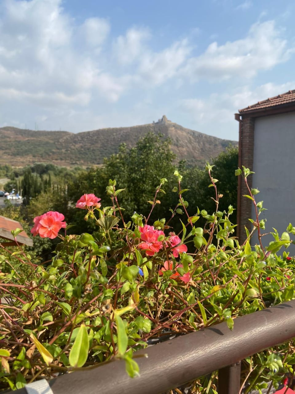 View (from property/room), View (from property/room), Mountain view