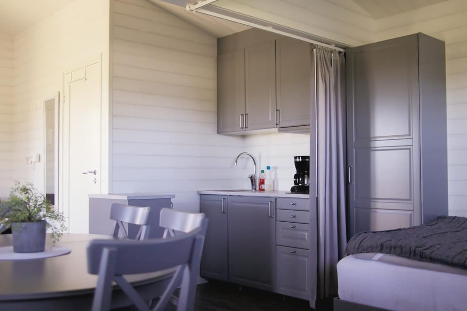 Kitchen or kitchenette, Dining area, oven