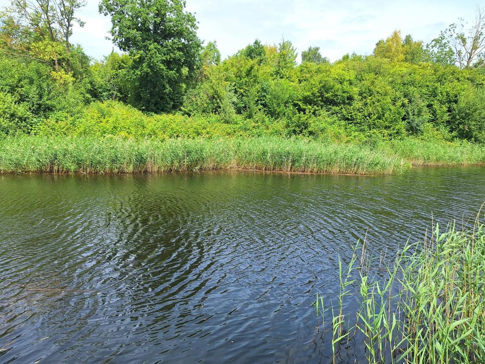 Natural landscape, Lake view