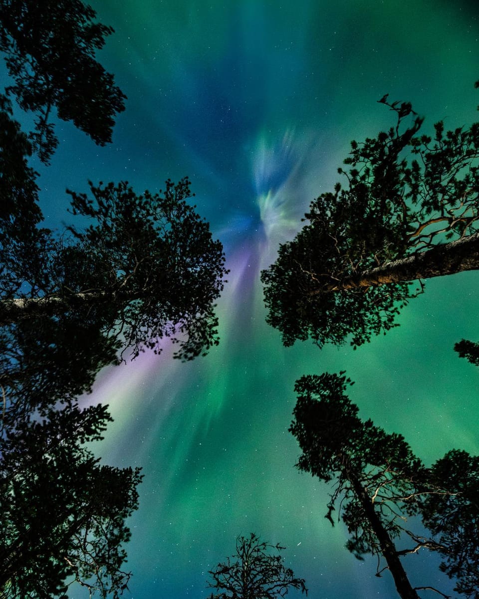 Night, Natural landscape