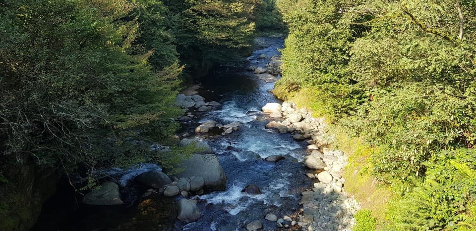 Natural landscape