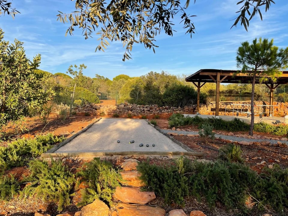 Patio, Garden, Garden view