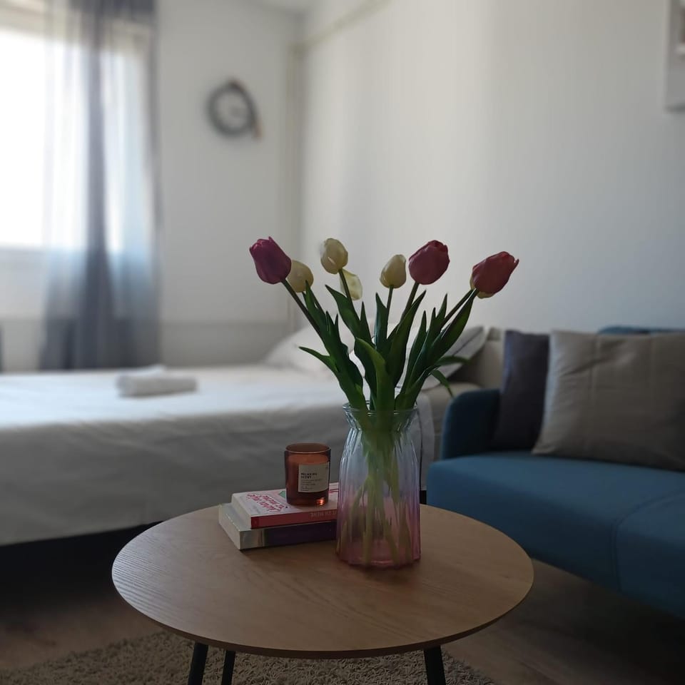 Modern studio near City Center Apartment in City of Zagreb
