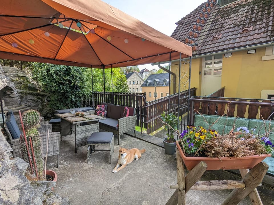 Waldblickwohnung mit schöner Terrasse und Kamin&Sauna Apartment in Sächsische Schweiz-Osterzgebirge