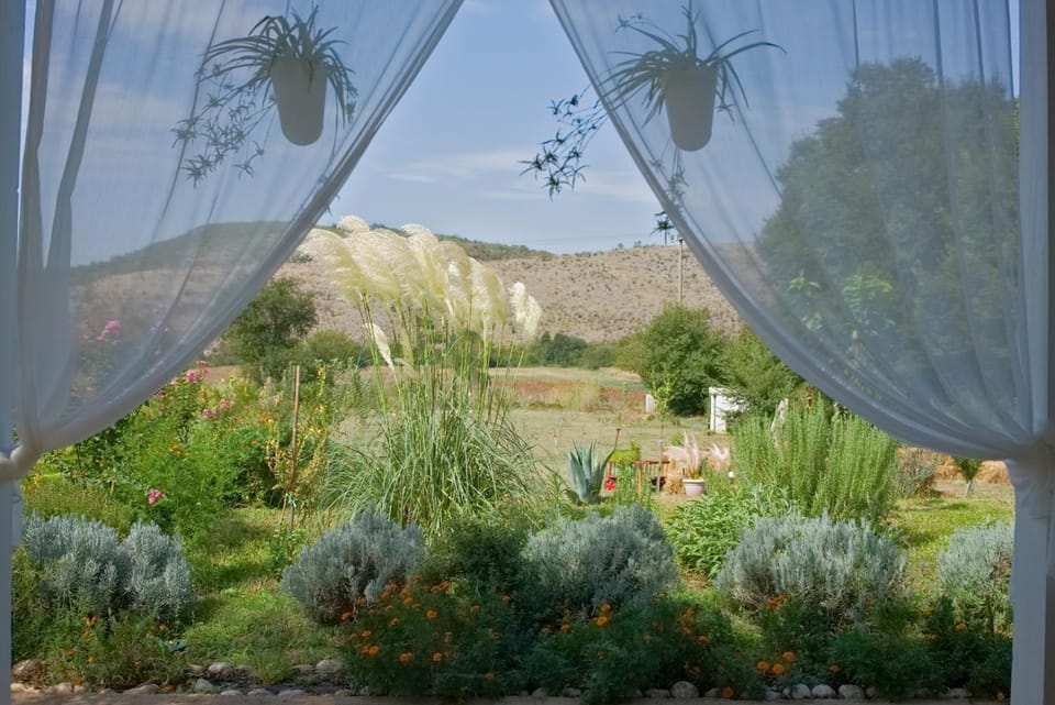 Garden, Garden view