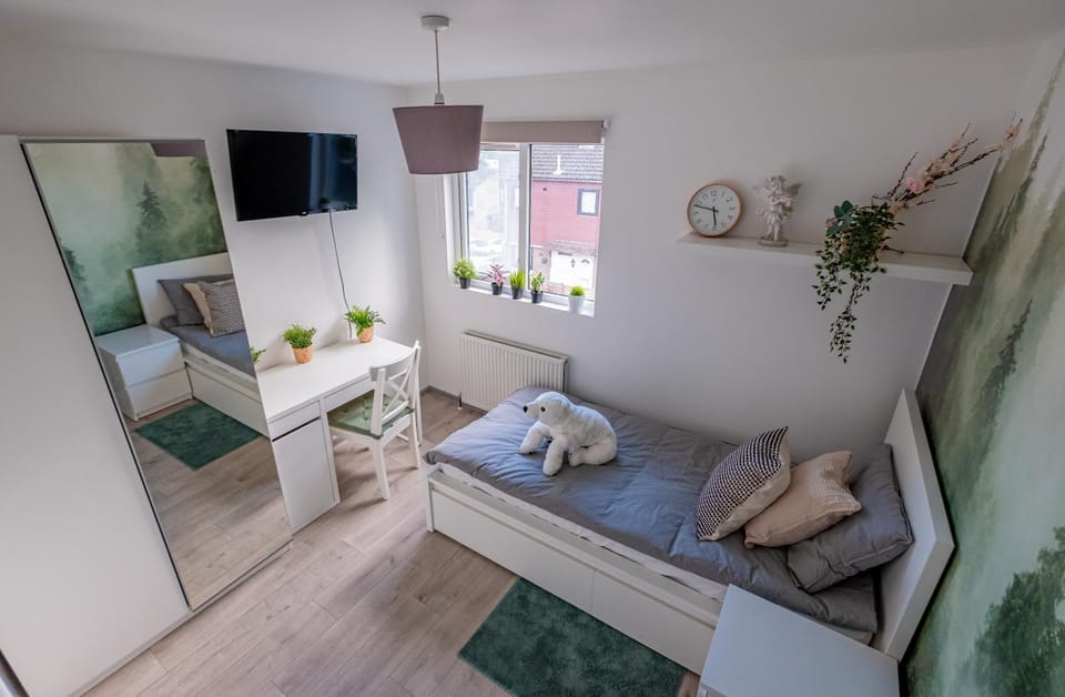 Bed, TV and multimedia, Photo of the whole room, Bedroom