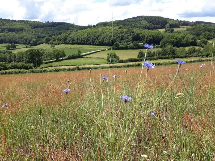 Le Studio du Crot Noir Bed and Breakfast in Bourgogne-Franche-Comté