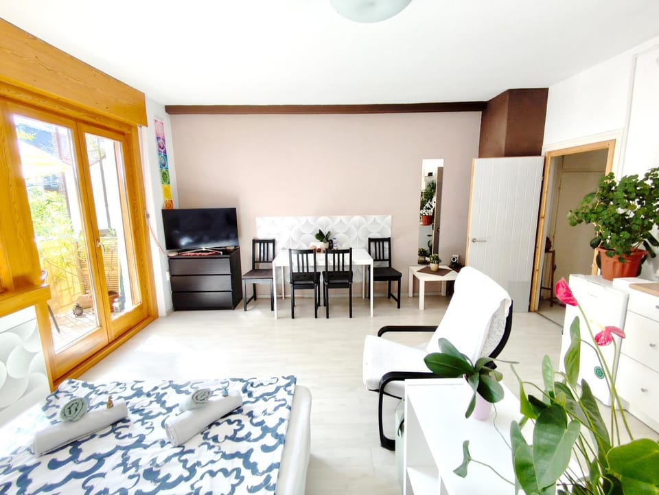 Free parking, Balcony, near to city park Vacation rental in Budapest
