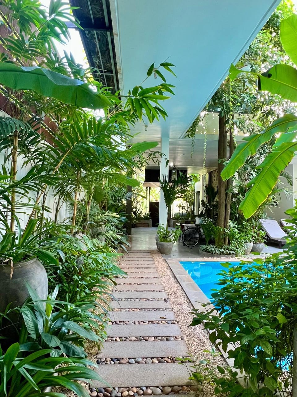 Garden, Swimming pool, Swimming pool