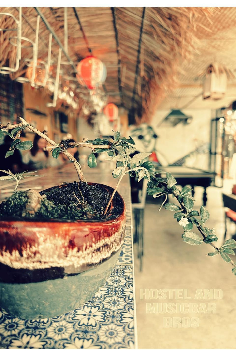 Hostel and Music Bar Bros Hostel in Thailand