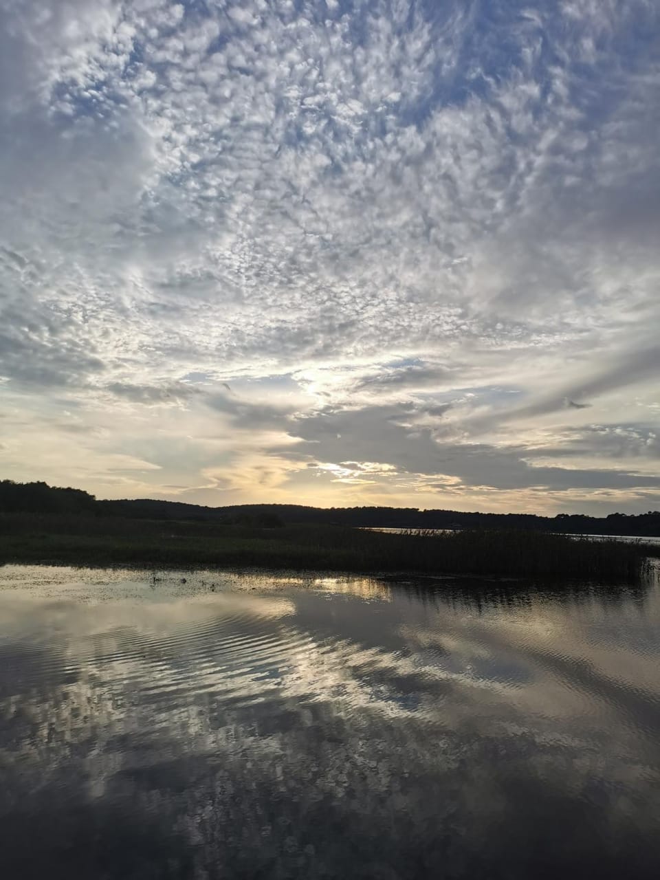 Lake view