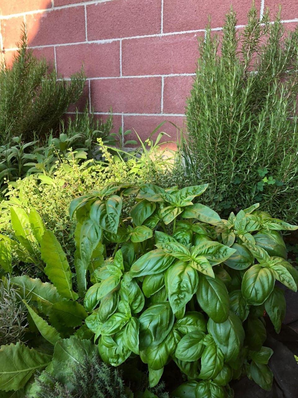 Cascina Giardina Bed and Breakfast in Piedmont