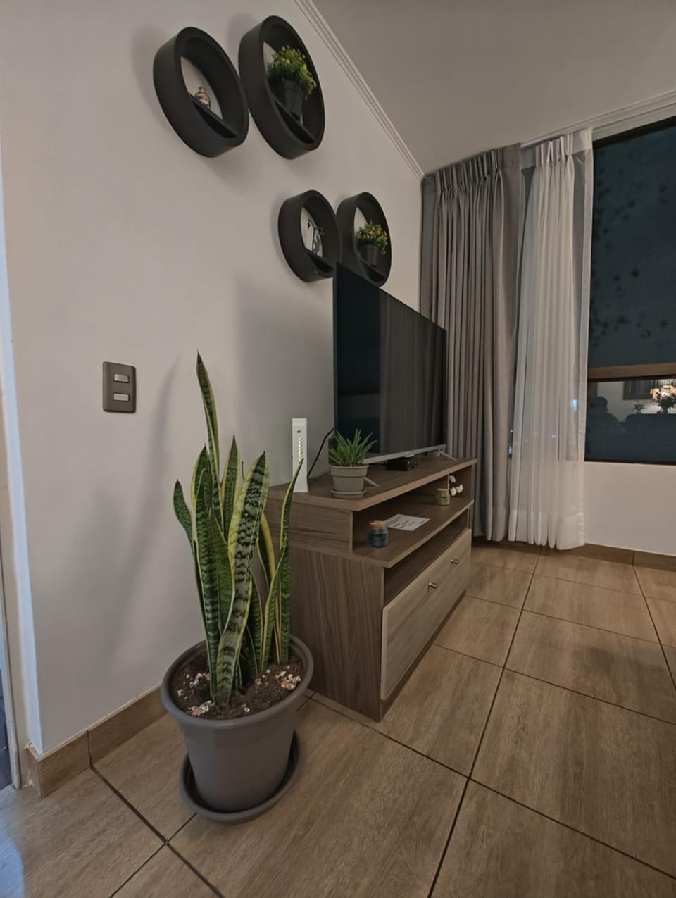 TV and multimedia