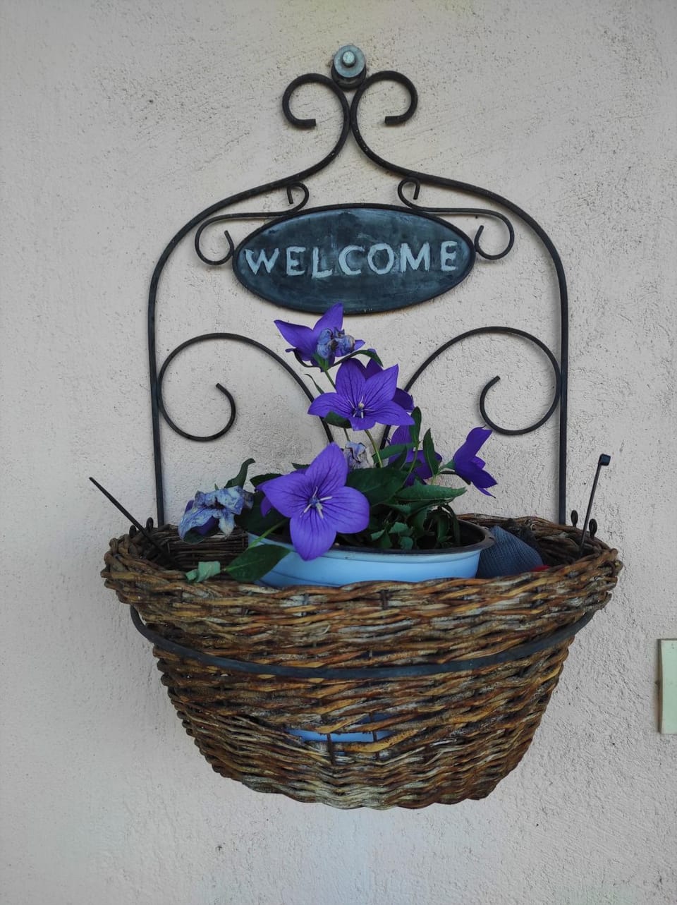 Property logo or sign