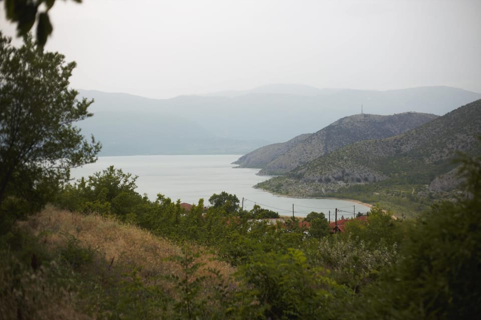Lake view
