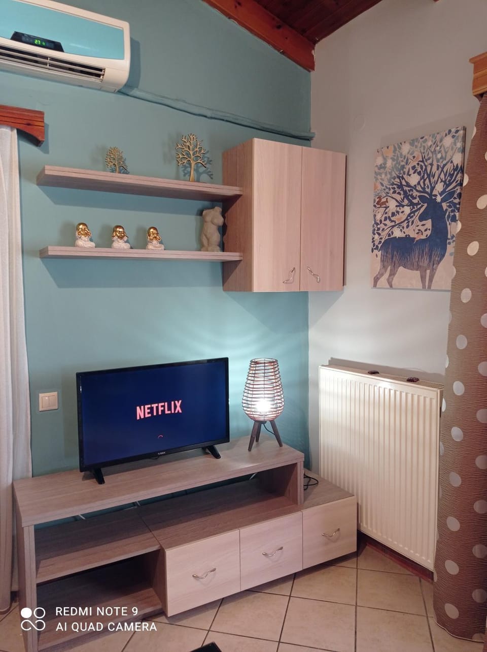 TV and multimedia
