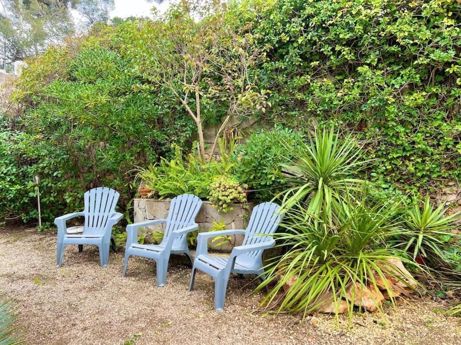 Garden, Garden