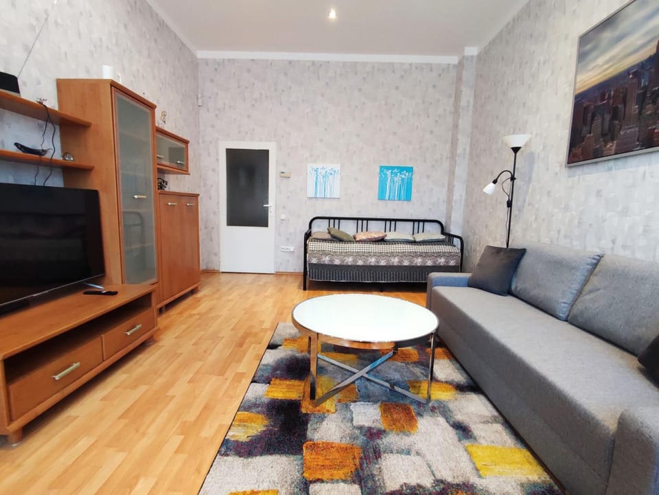 Large and cozy apartment in the center of Karlovy Vary Apartment in Saxony