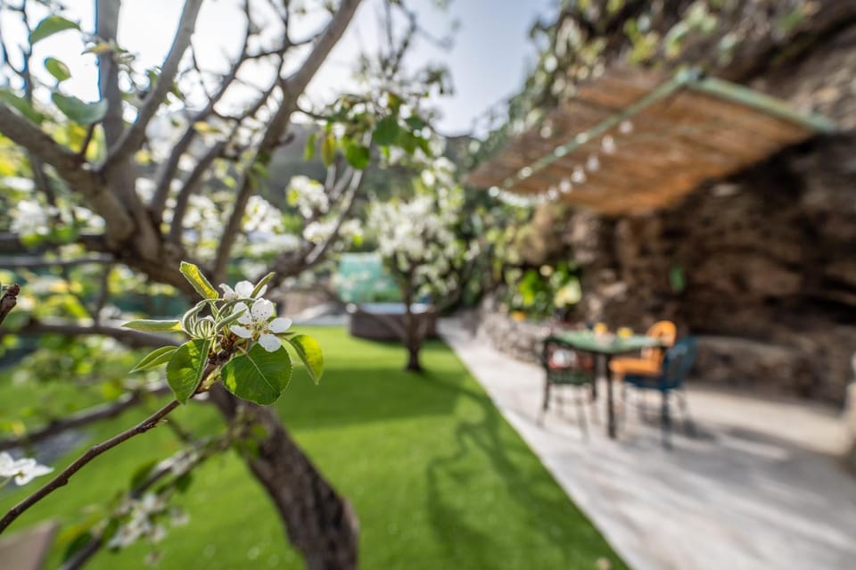 Natural landscape, Solarium, Spa and wellness centre/facilities, Swimming pool