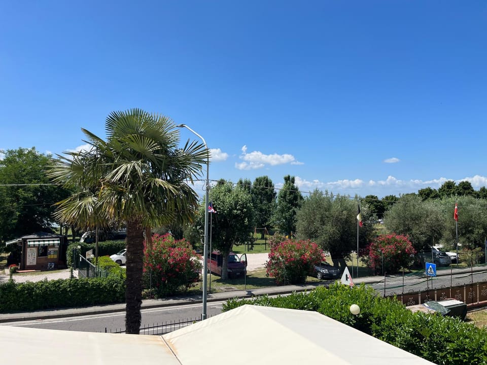 Natural landscape, Garden view