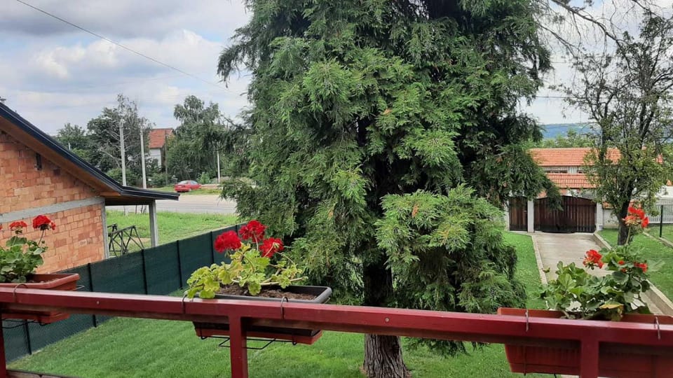 Garden, Garden view