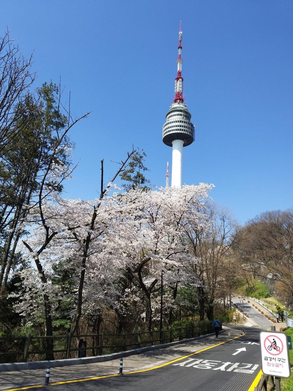 Nearby landmark, Spring, Day, Neighbourhood, Natural landscape, Summer, Seasons