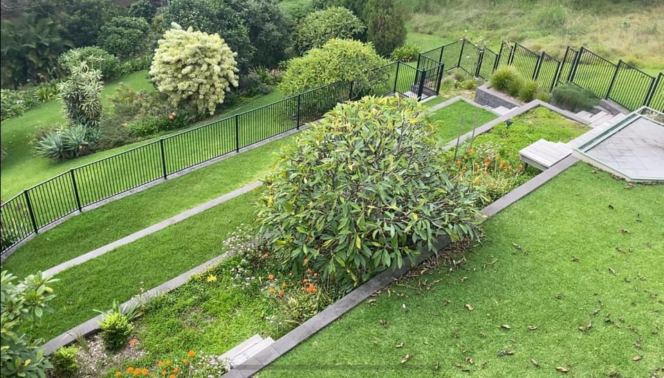 Garden view