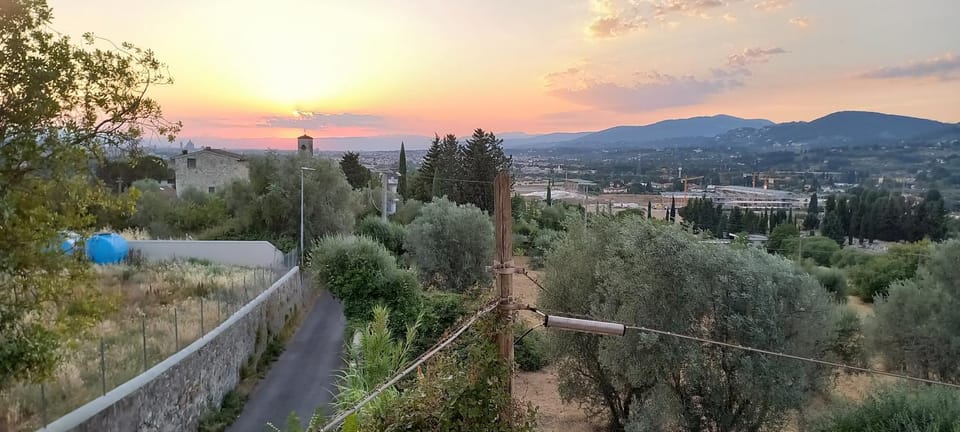 Natural landscape