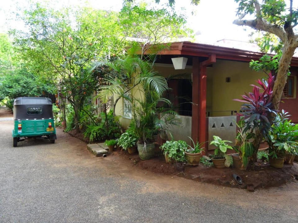Property building, Garden view