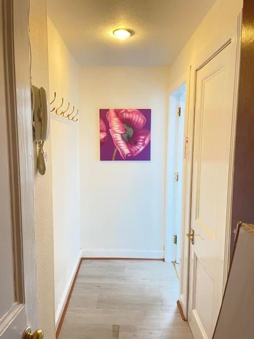 City Studio Flat West Toll Cross Apartment in Edinburgh