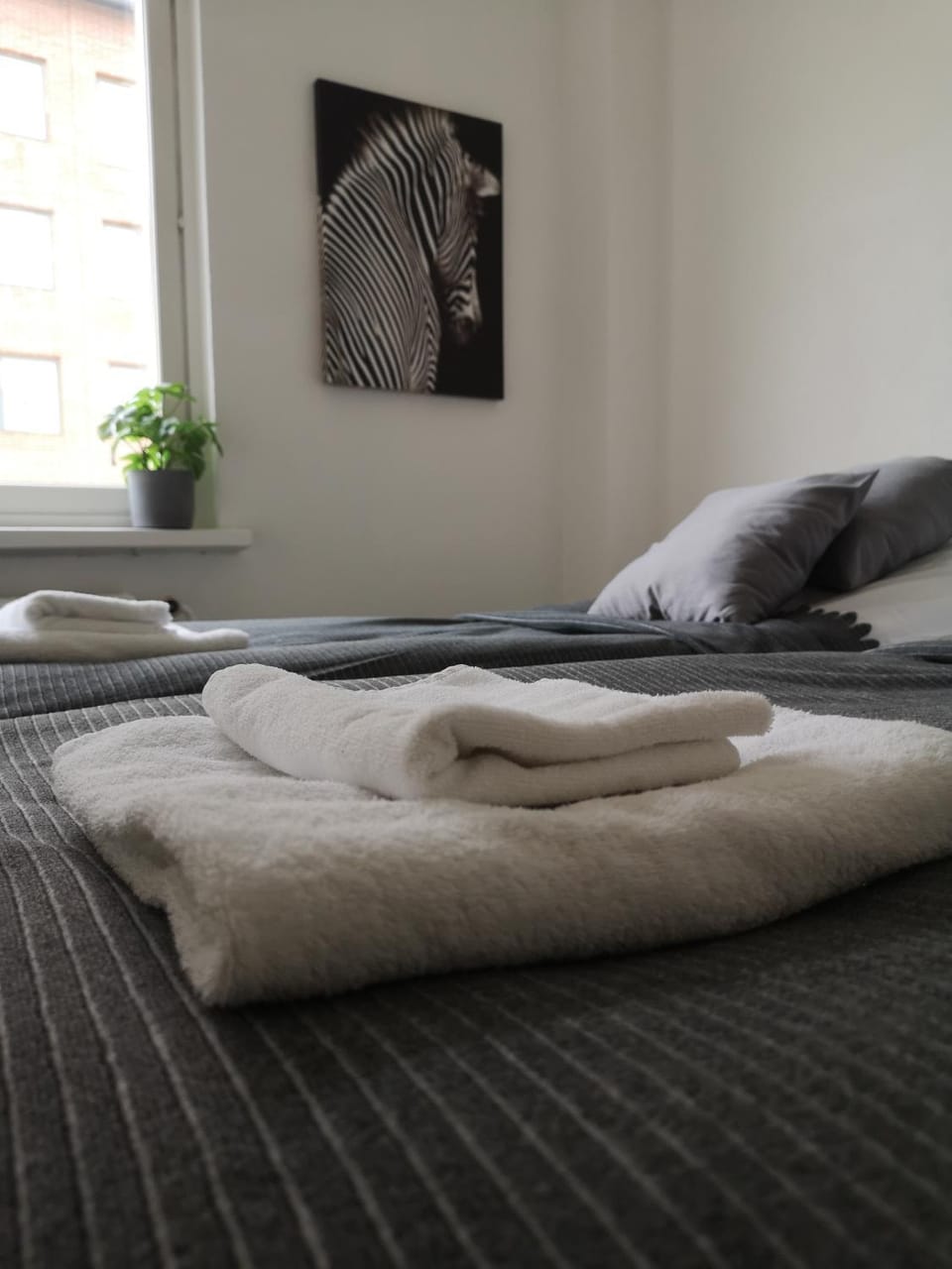 Bedroom, towels