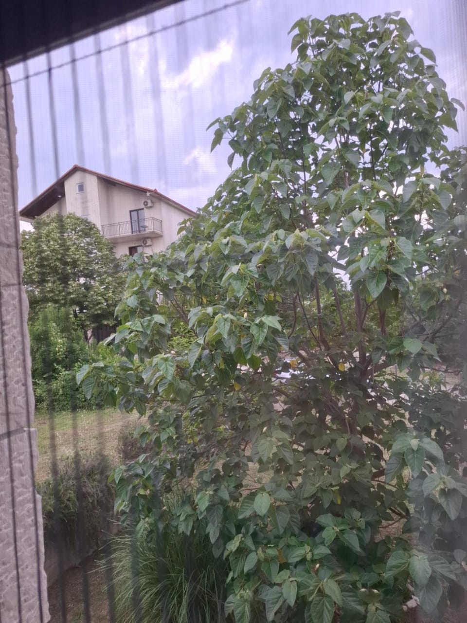 Janja Andjela rooms Bed and Breakfast in Federation of Bosnia and Herzegovina