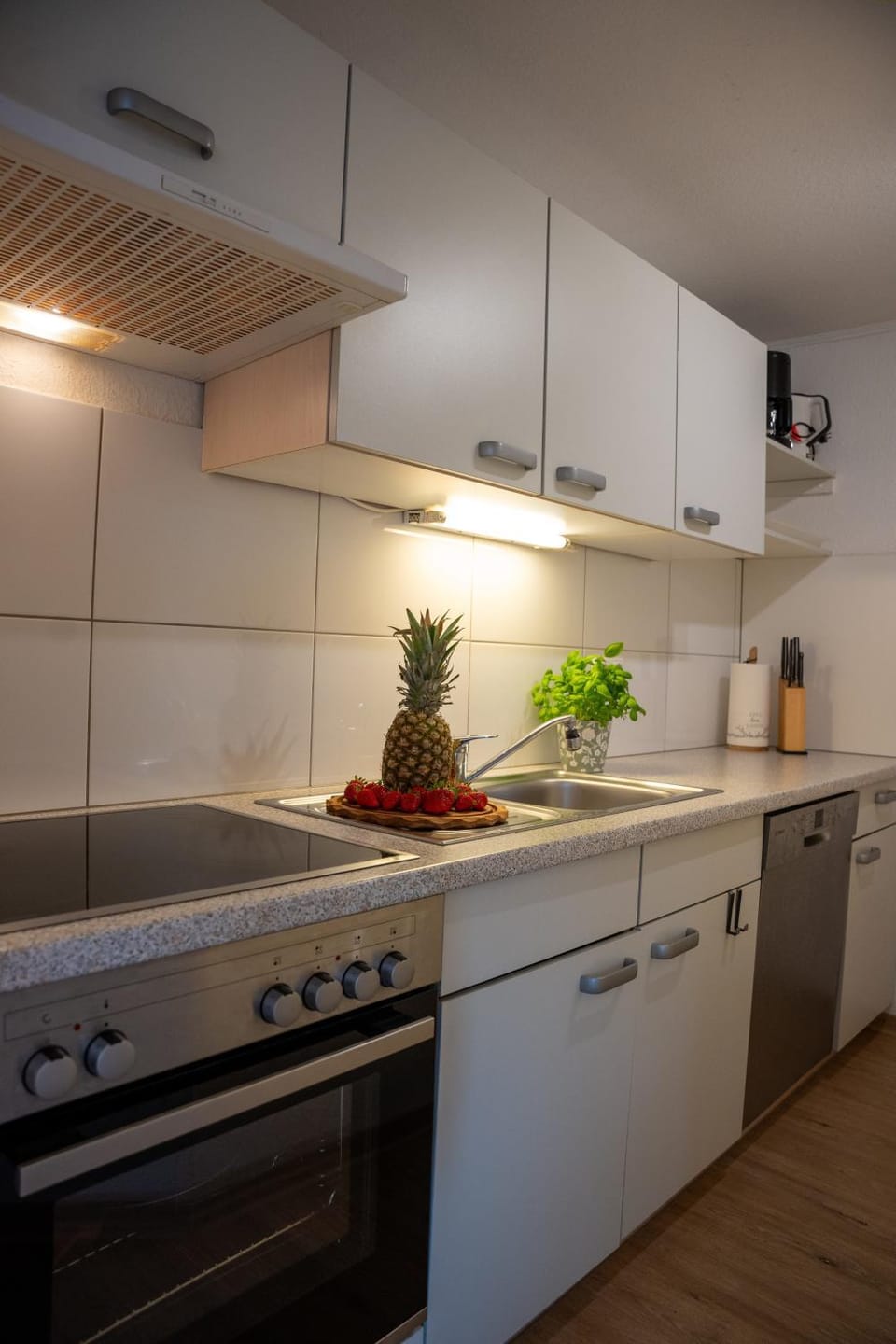 Ferienhof Kruse Wohnung 10 Apartment in Grömitz