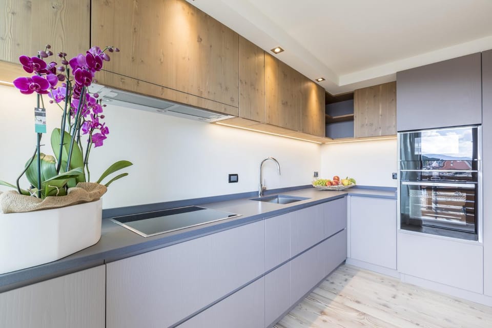 Kitchen or kitchenette, dishwasher, minibar, pet friendly