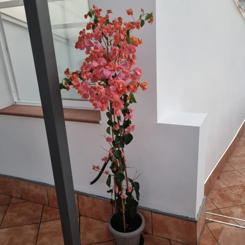 Santiago del Teide Room Apartment in Canary Islands