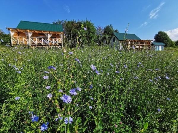 Przystan Ramotowo Chalet in Poland